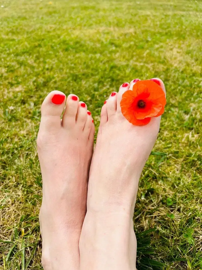 Un vent de fraîcheur et de fleur 🌺 🌷🌸