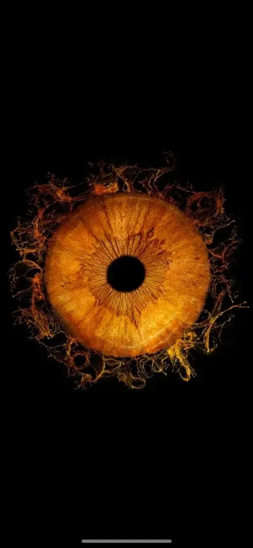 Photo de couverture de Zera13