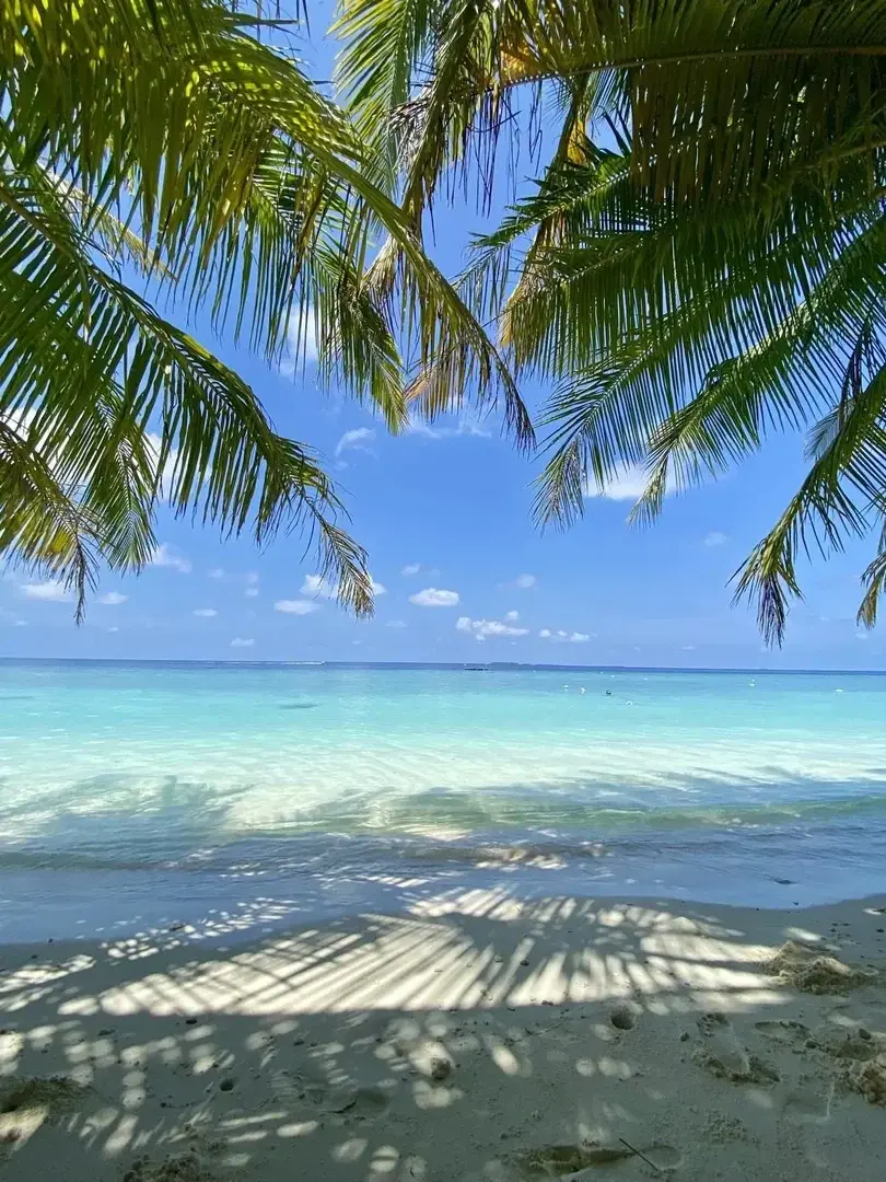 Photo de couverture de Lunabellabisou