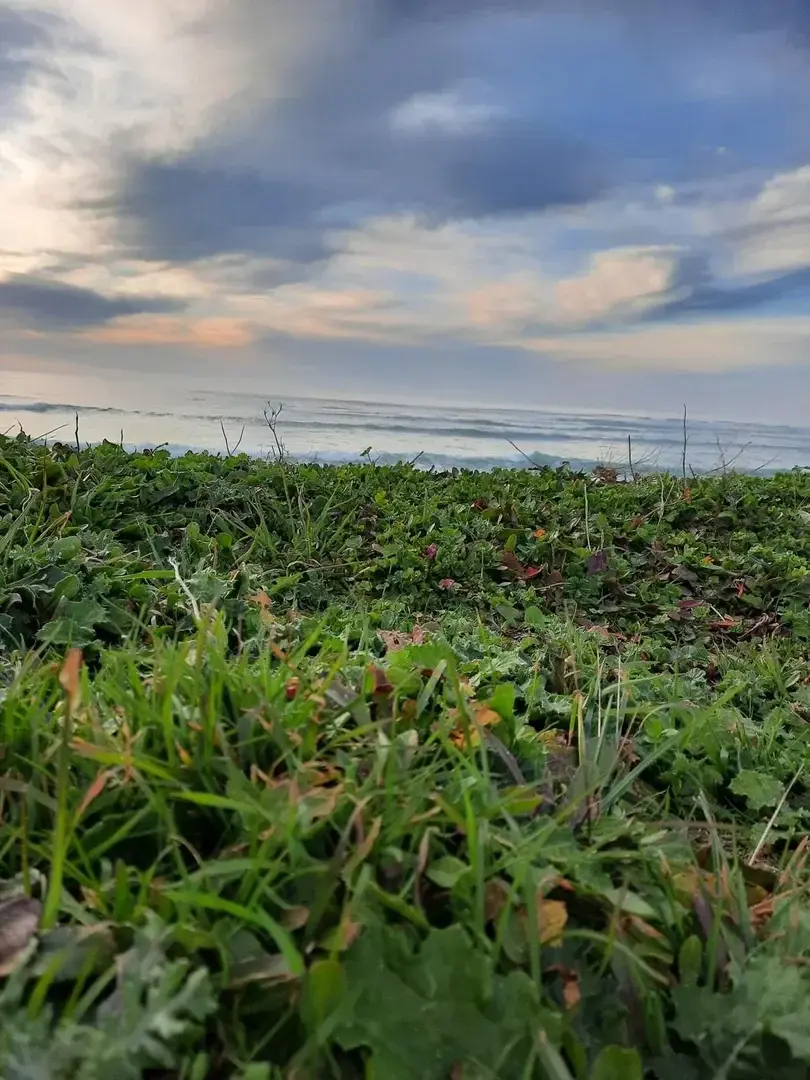 A Oléron. Le temps se prêtait à la photo.