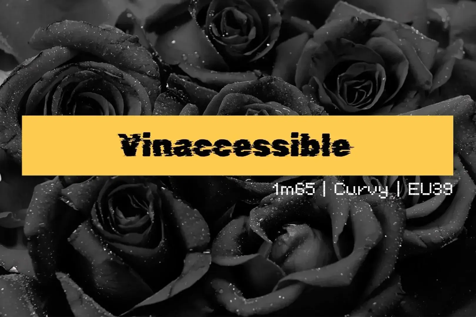 Photo de couverture de Vinaccessible