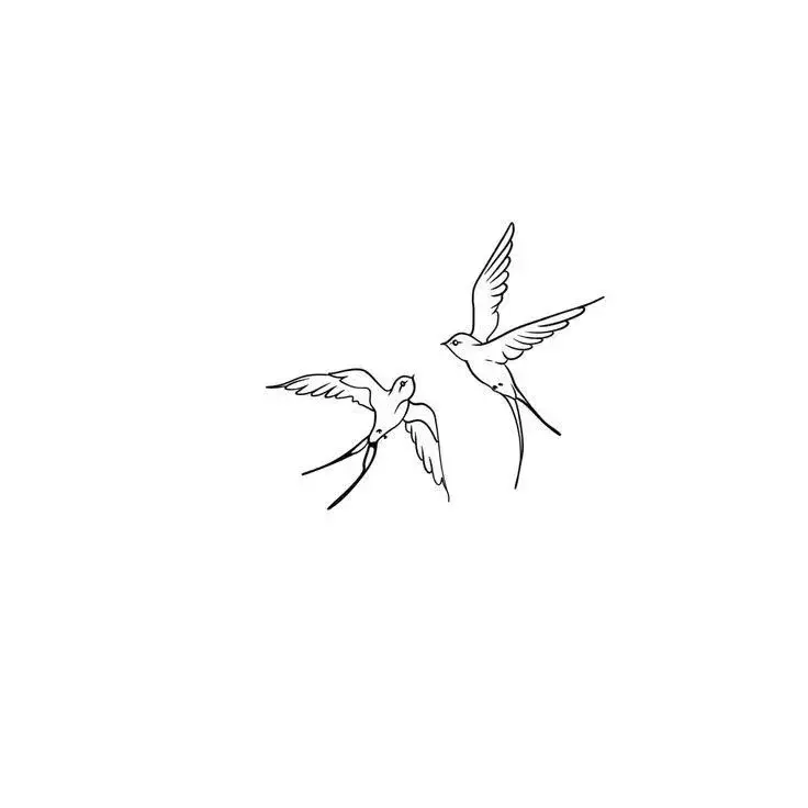 Avatar de Swallows