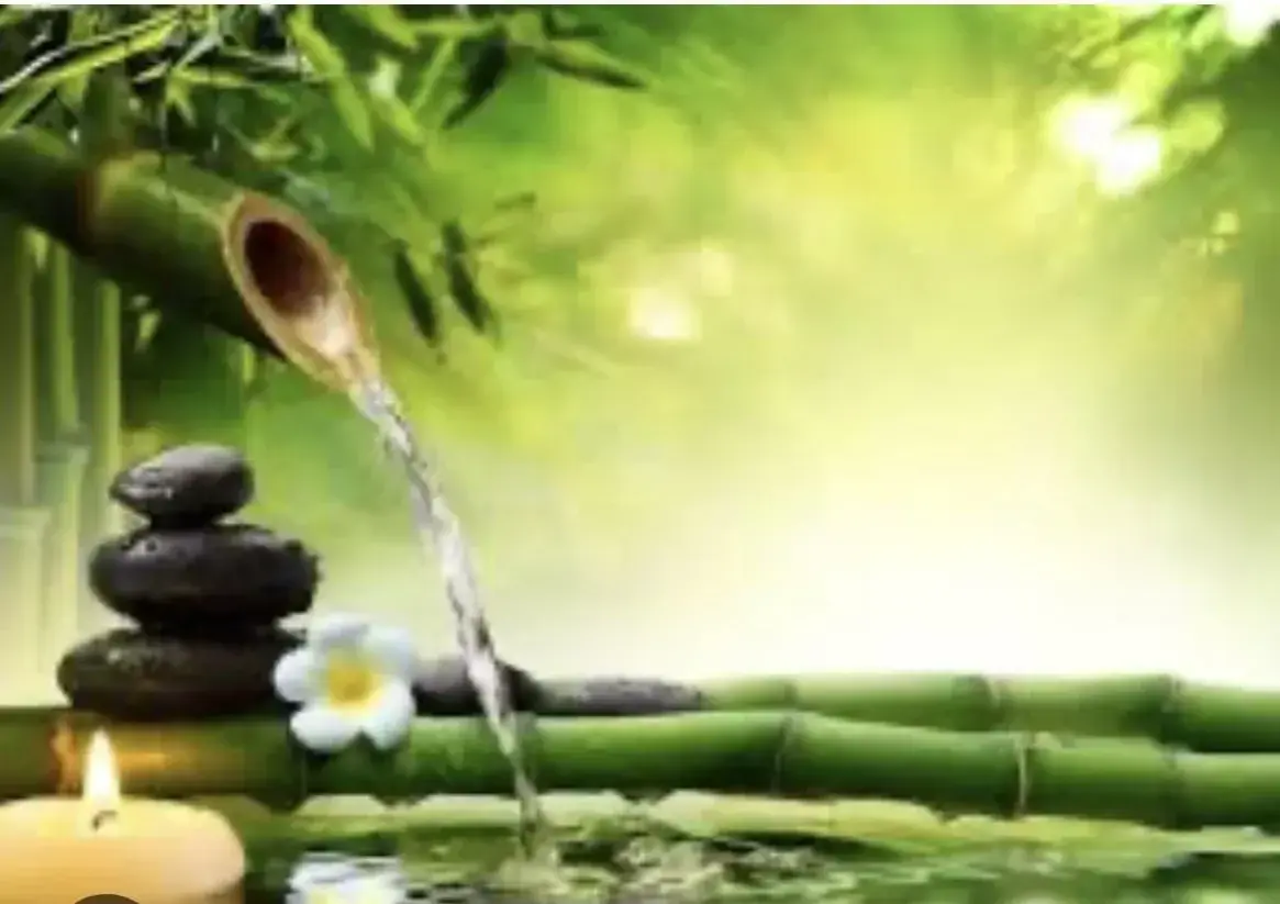 Photo de couverture de Cannafeet