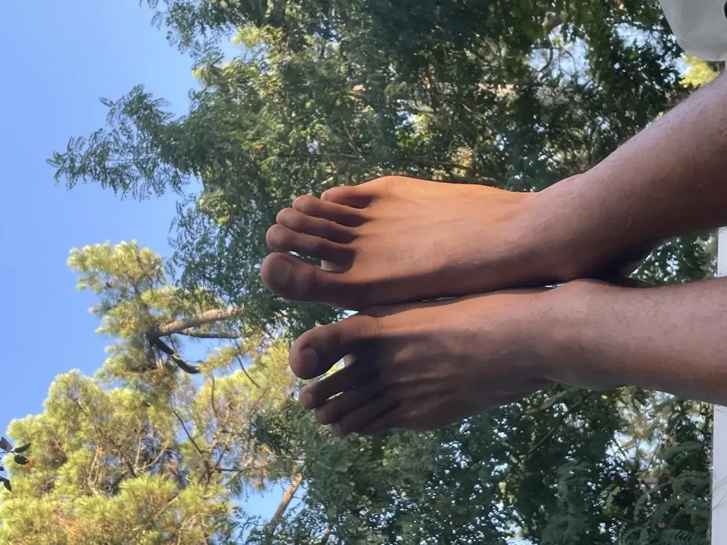 Avatar de Feetnamor