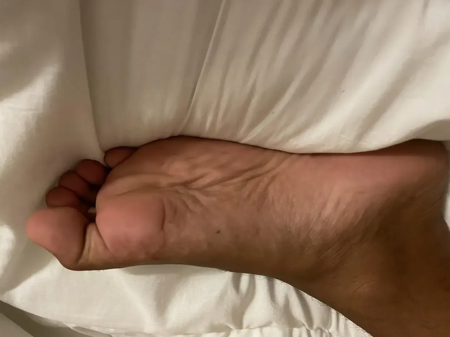 Photo de couverture de Feetnamor
