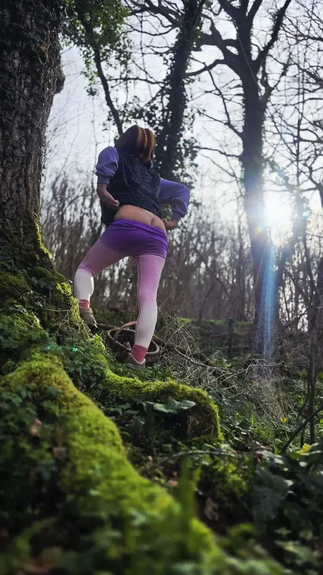 🌳🍑