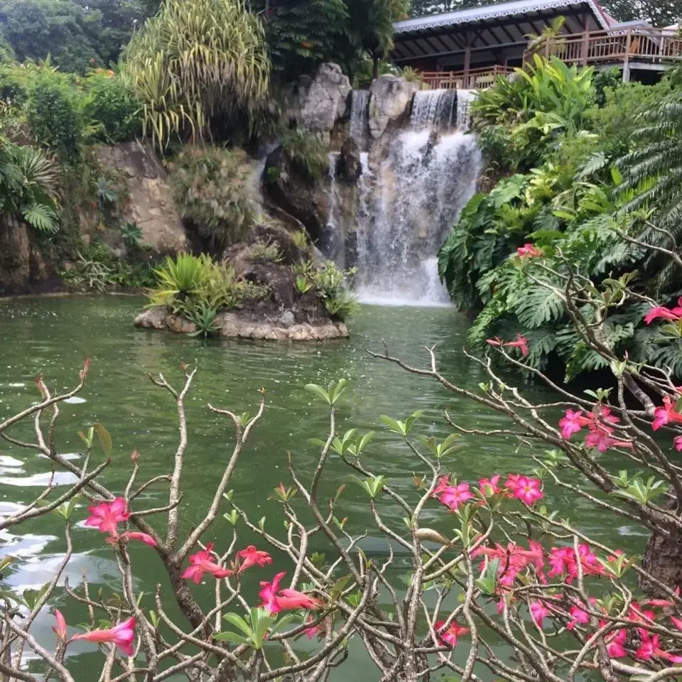 Photo de couverture de Luluparadis