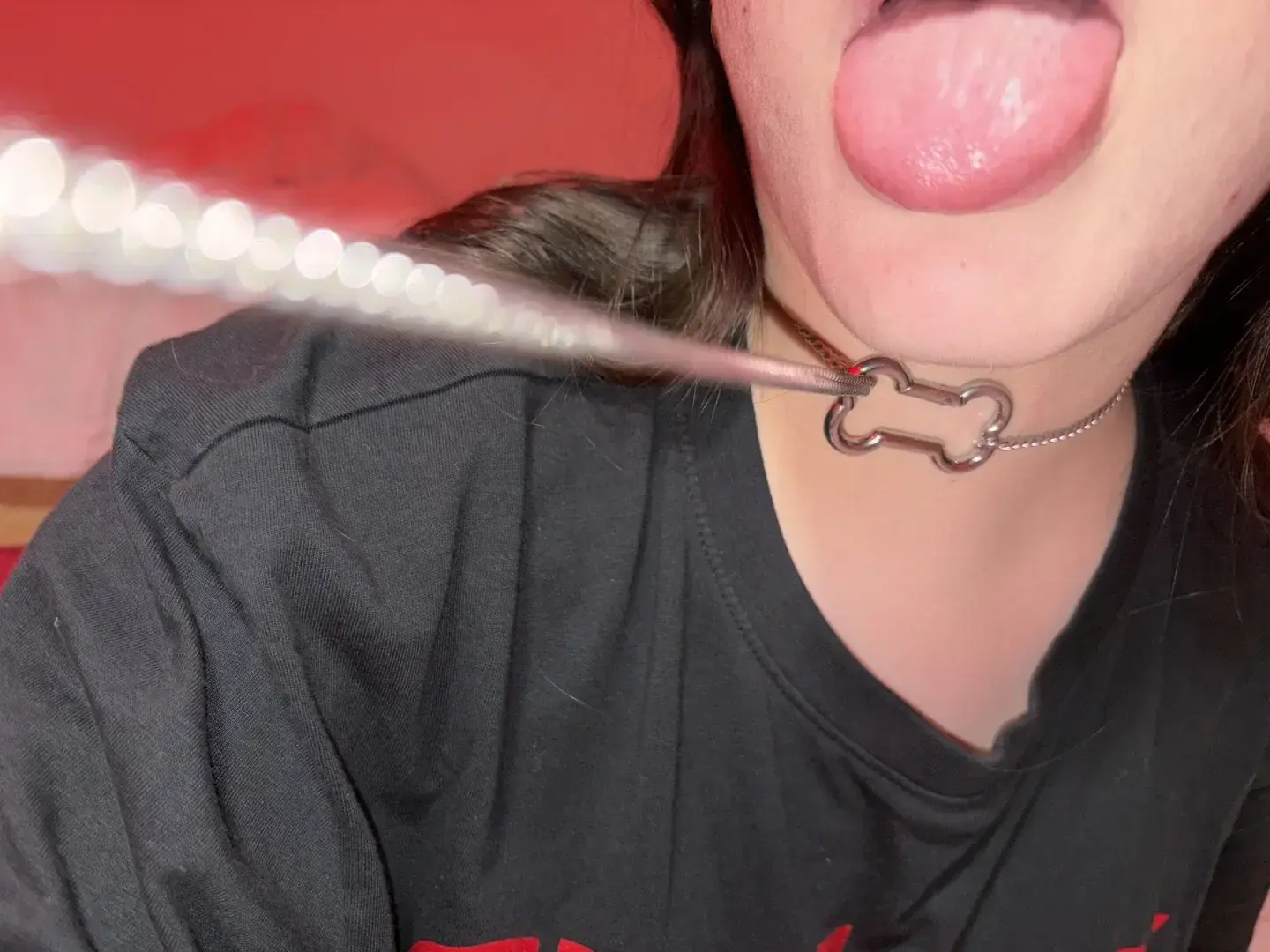 🦴⛓️Collier étrangleur + médaille de chienne autour du cou.Tu tires doucement ou tu serres fort? Viens choisir 🖤🐕