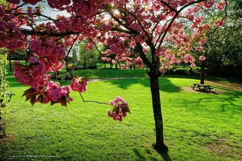 Photo de couverture de Lafifille70