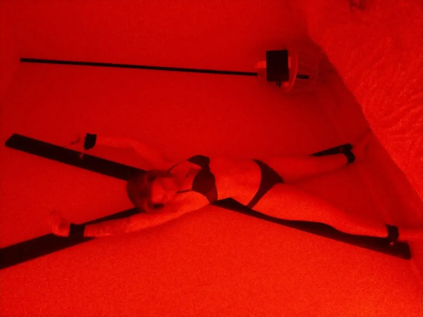 Photo de couverture de Sexink