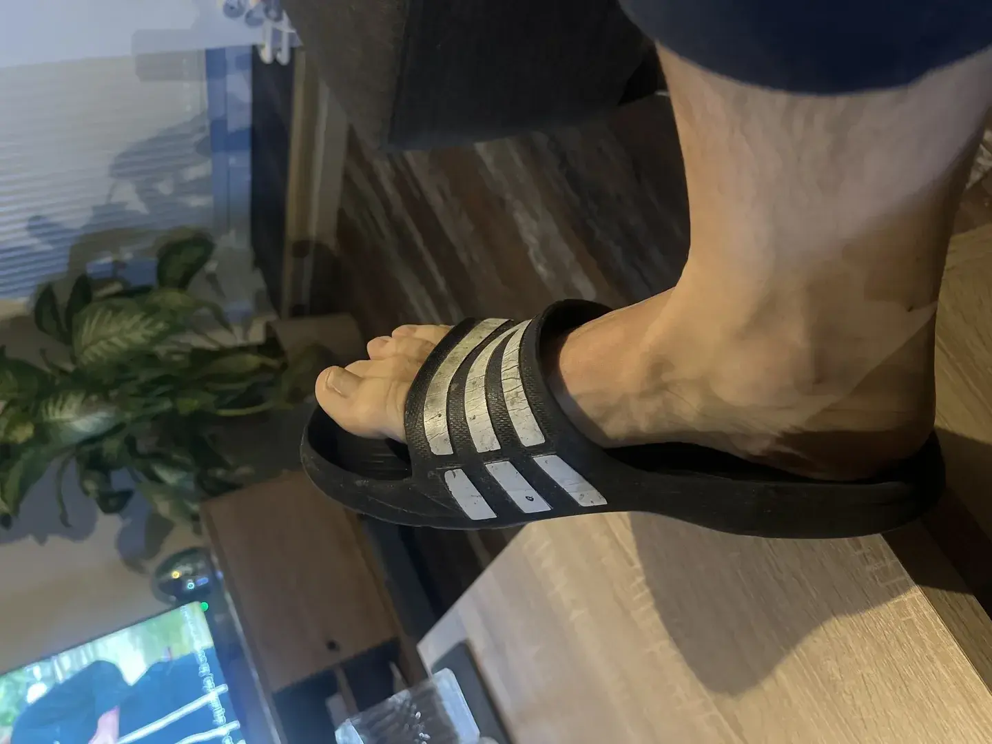 Avatar de Moodyfeet21