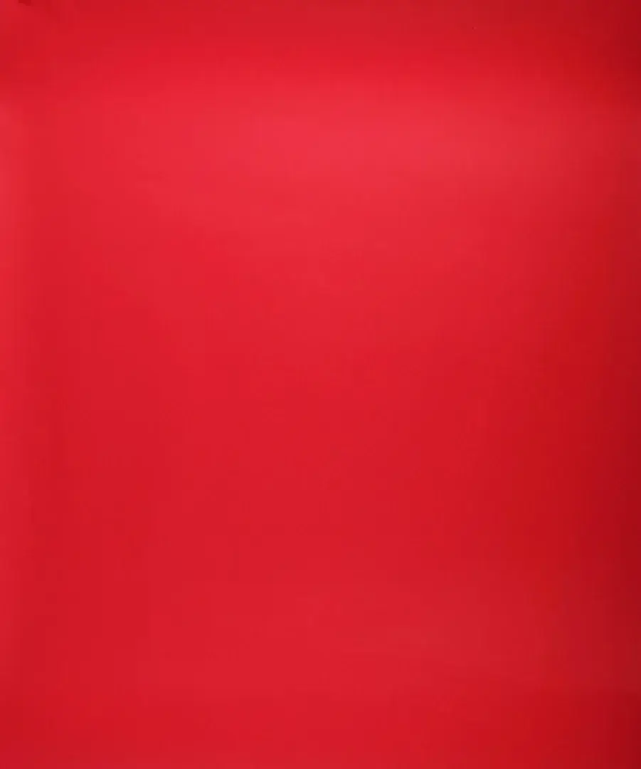 Photo de couverture de Veneziana