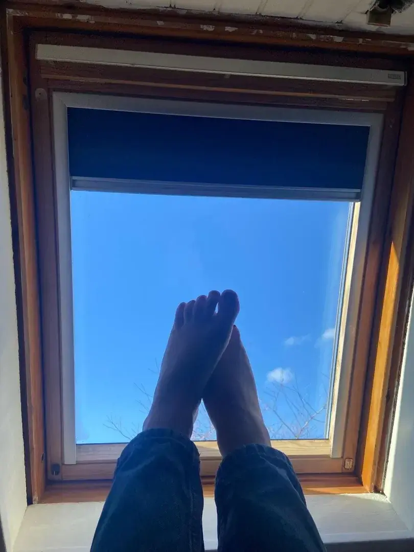 🌞