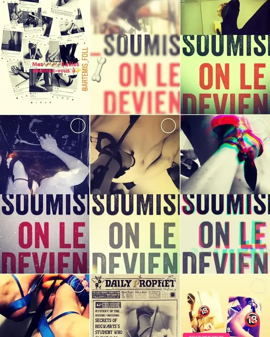 Photo de couverture de Imperiale_diane