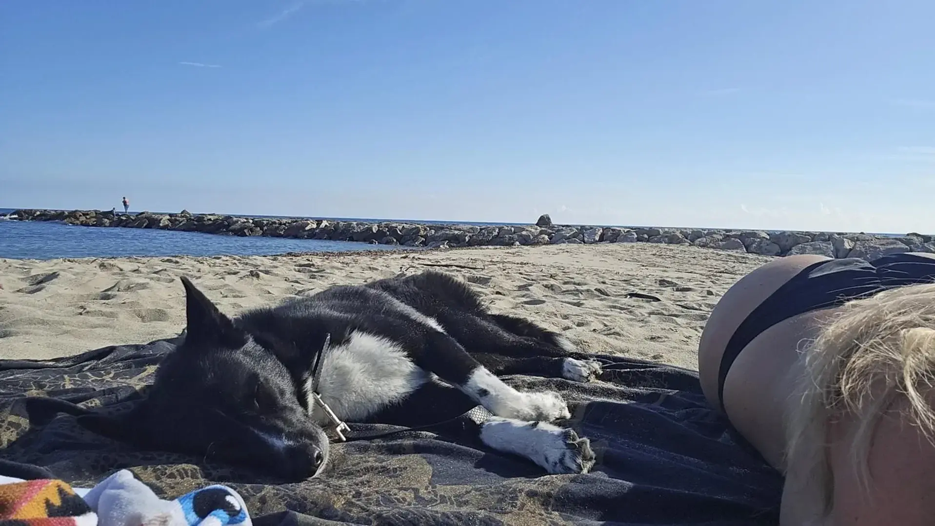 memories 😍 heiße bodys am beach
