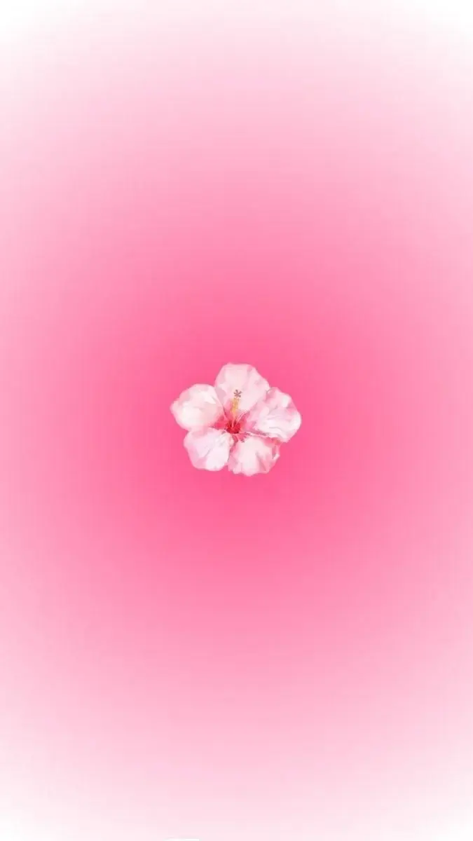 Photo de couverture de Serenityfeet