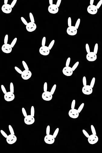 Photo de couverture de Aylin_