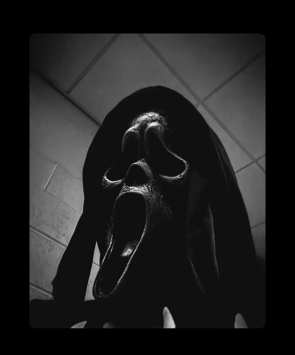 Avatar de Inkashes