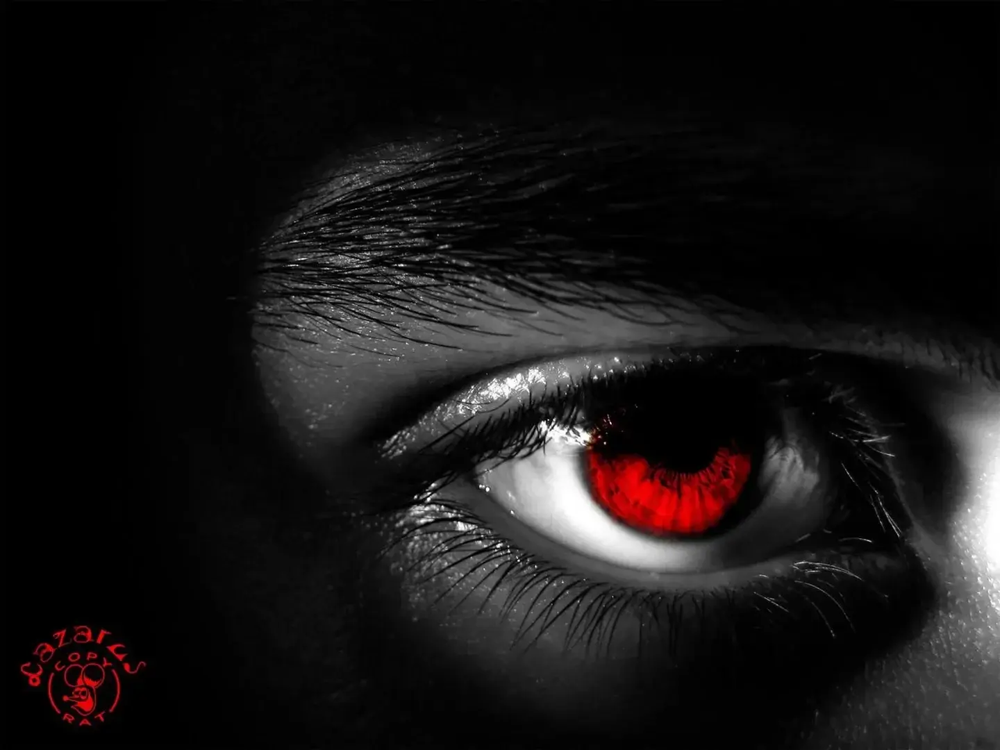 Photo de couverture de Roussinne