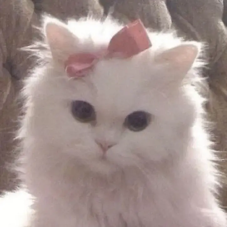 Avatar de kittykitty_kiss