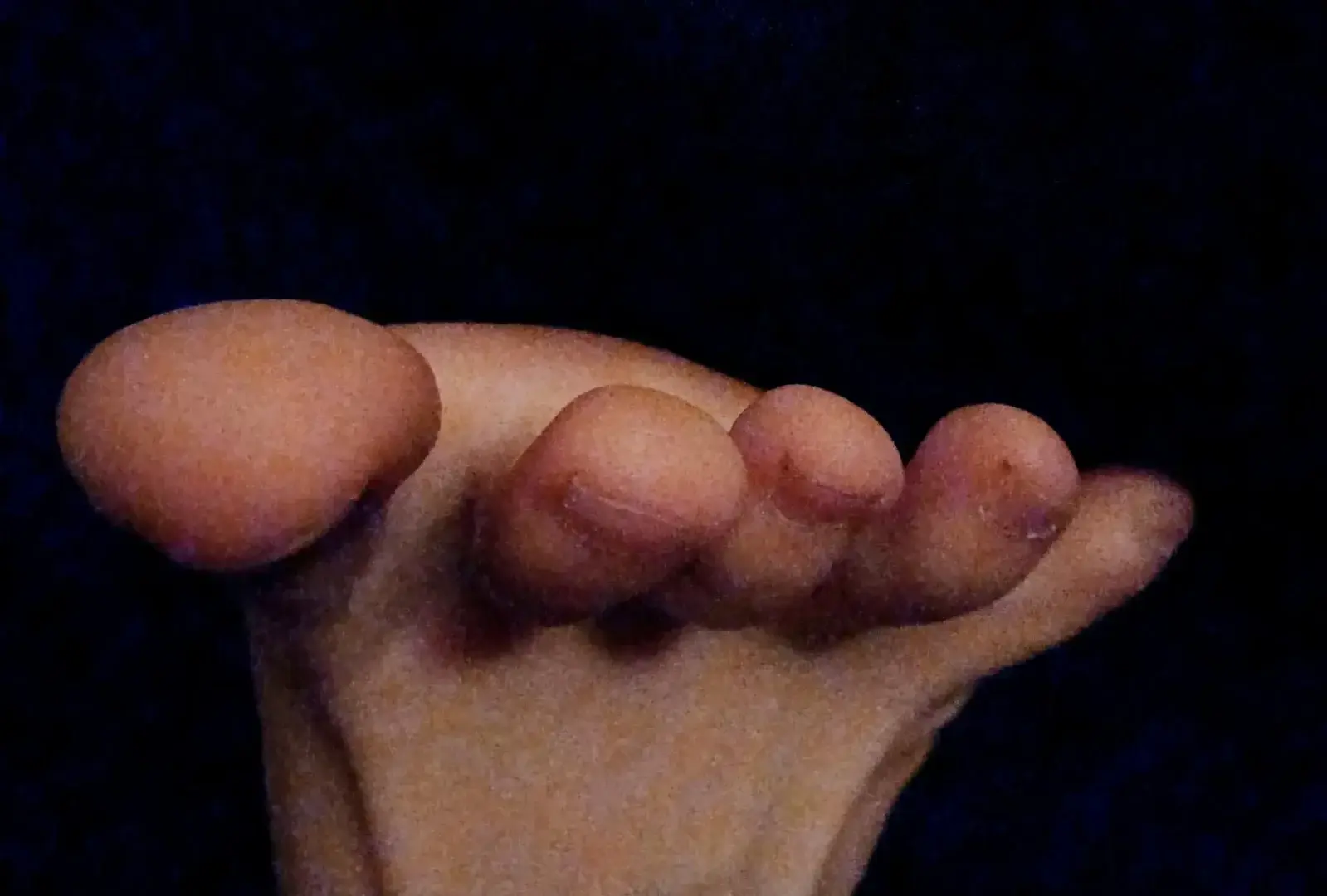 Photo de couverture de Vickysfoot