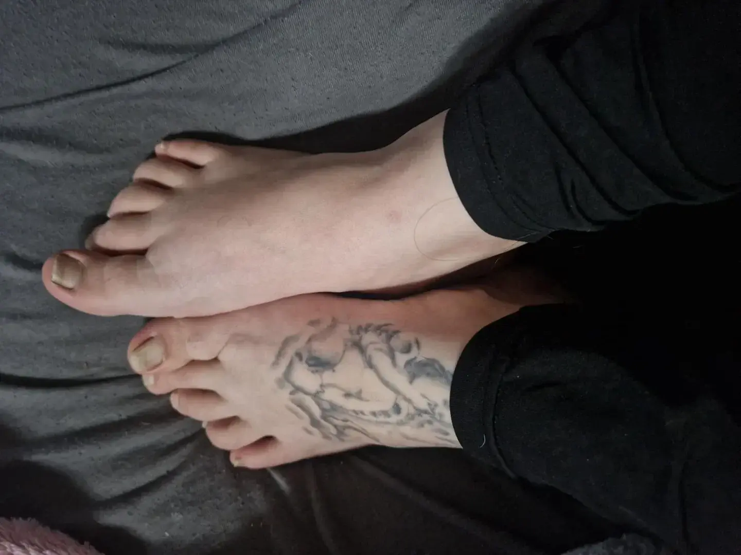 Avatar de Passionpieds91