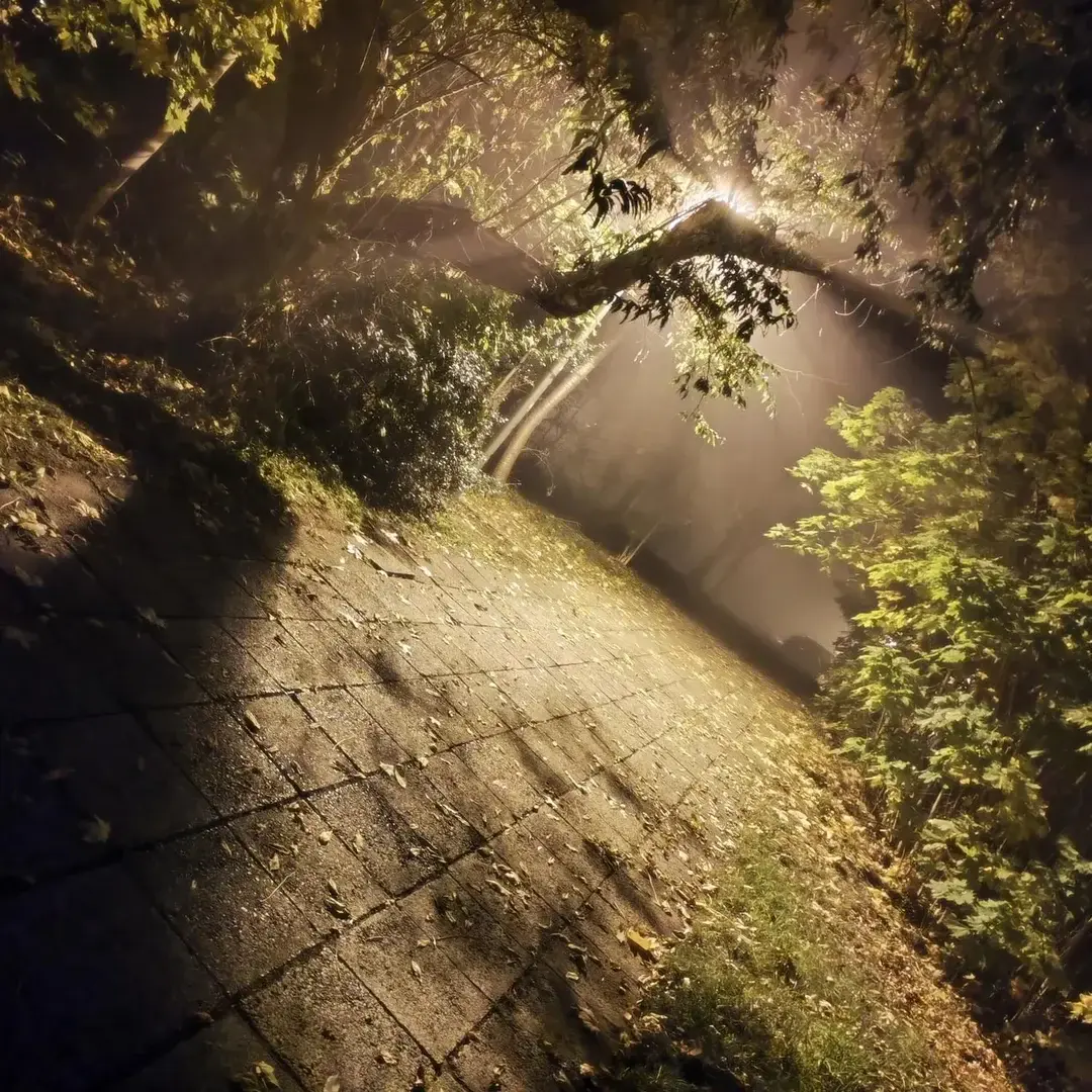 Photo de couverture de Sahneschnittchen