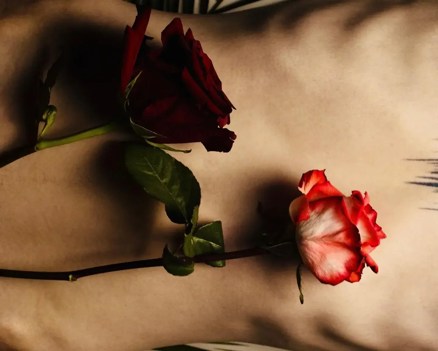 Leak & nude 2 — Misakyza