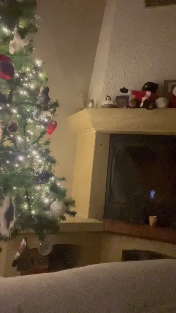 Un très beau mois de décembre à tous ... Joie, Bonheur et Amour <3