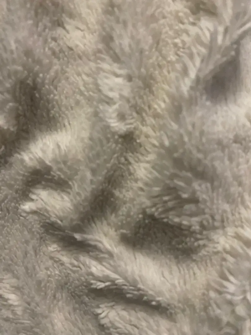 Leak & nude 5 — Bcbg_x