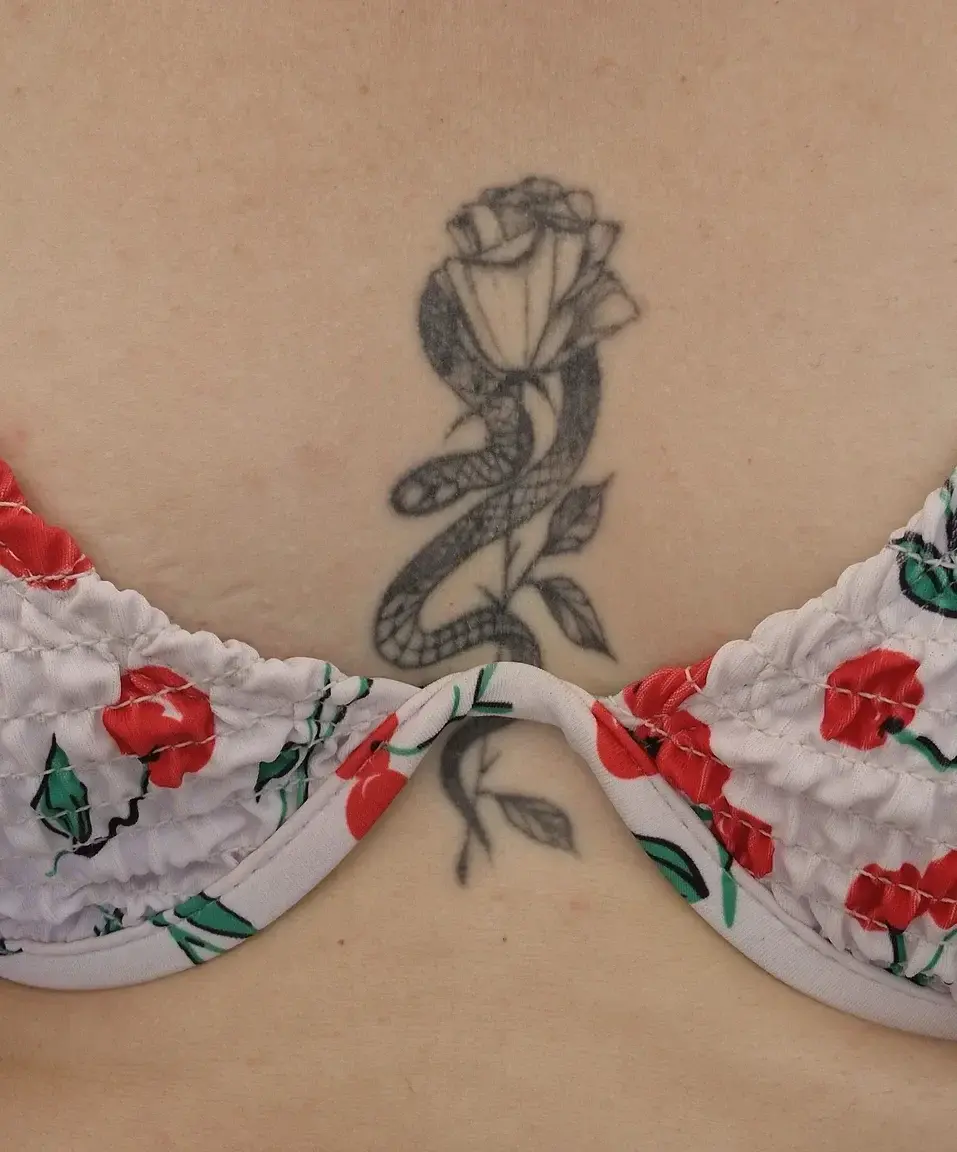 🐍🌹
