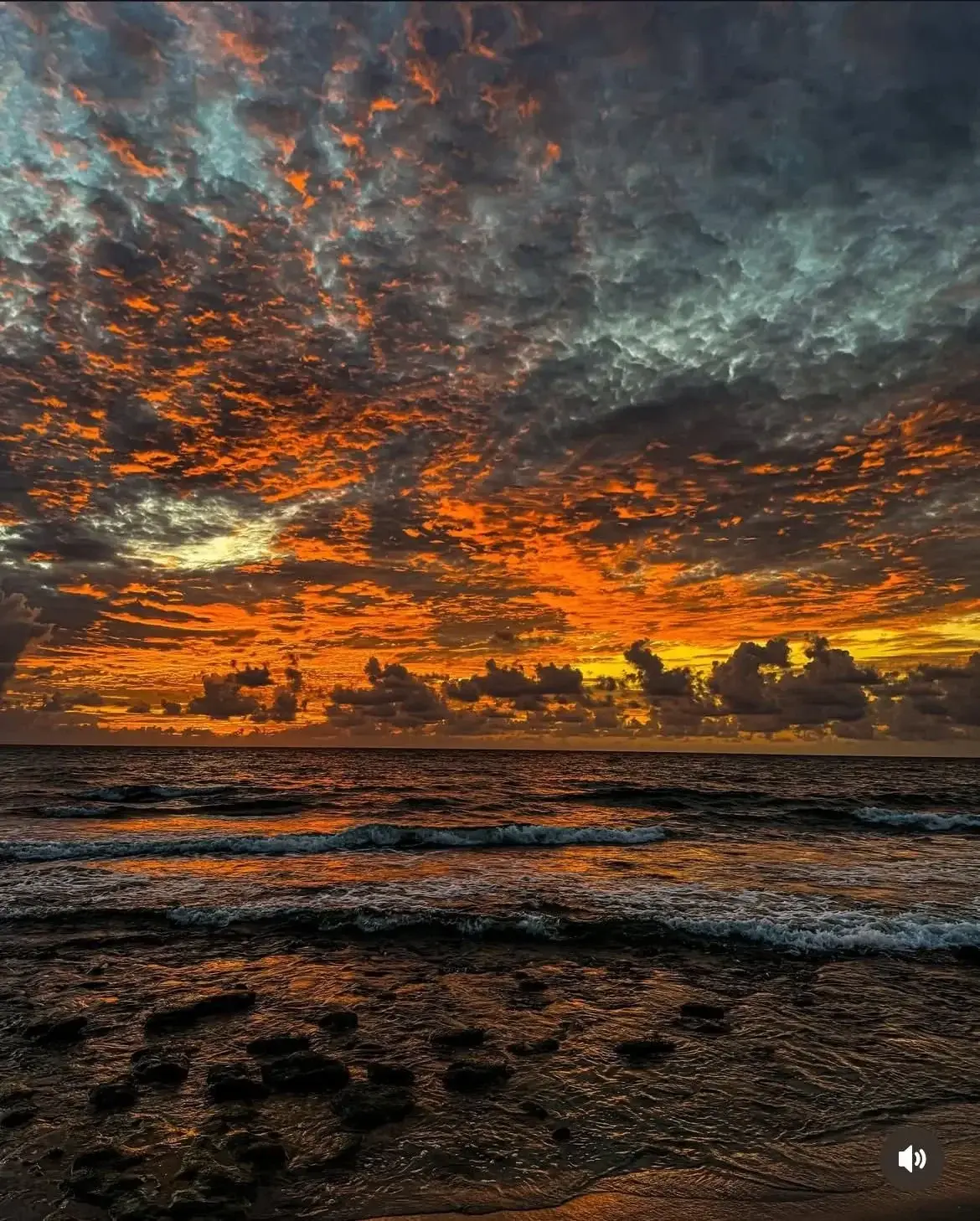 Photo de couverture de Chouchouuu18