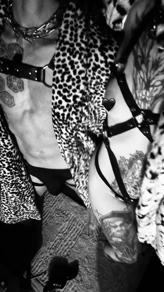 🐆