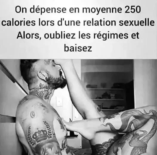 Photo de couverture de Lusitano