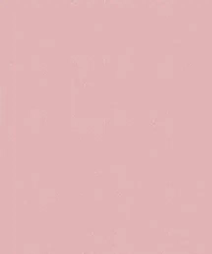 Photo de couverture de Pink_leila