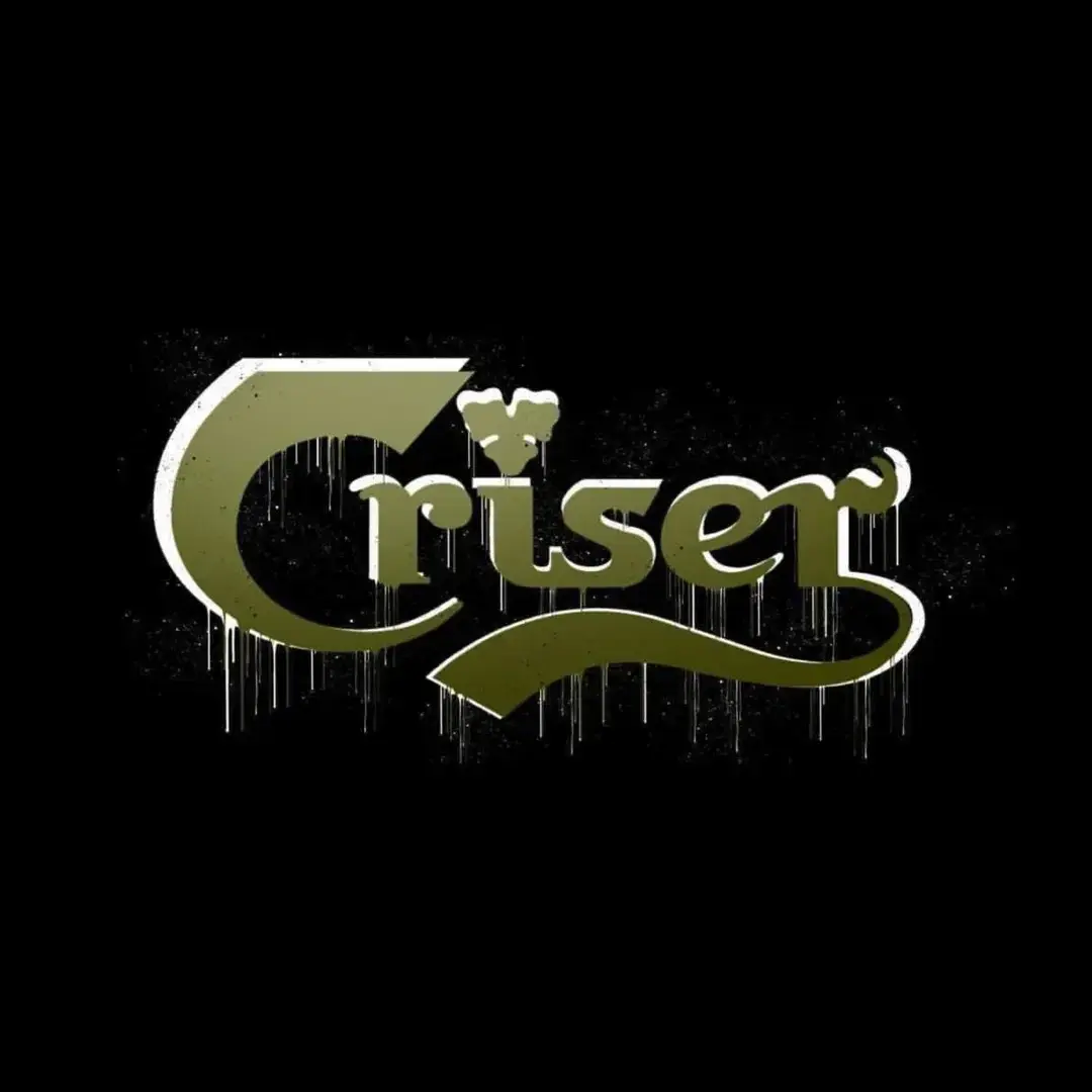 Photo de couverture de Kinkycriser