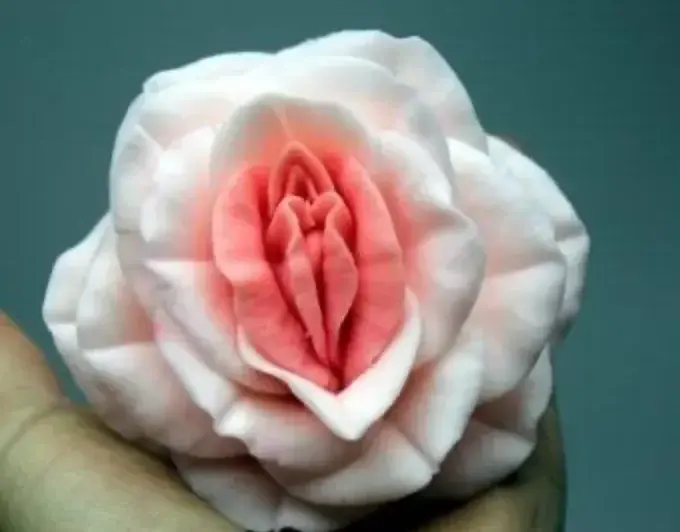 Avatar de Petitefleur313
