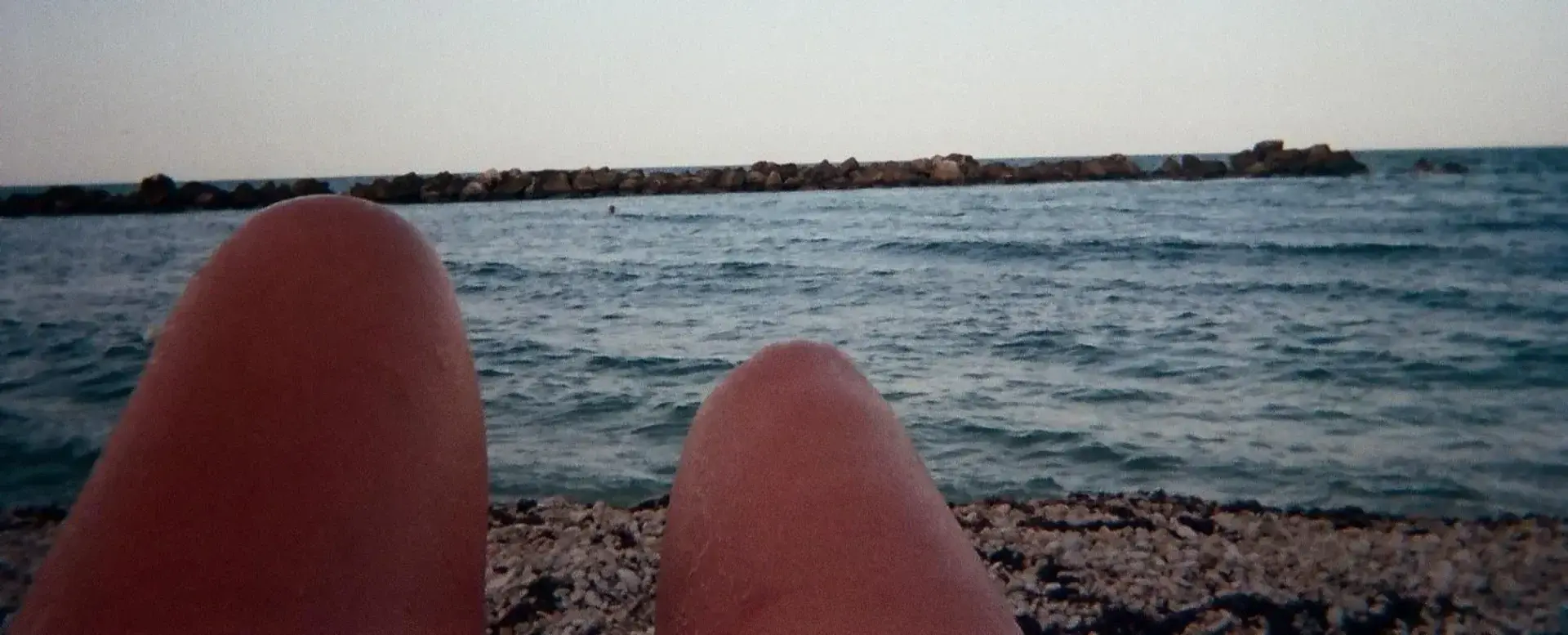 Photo de couverture de __clara__