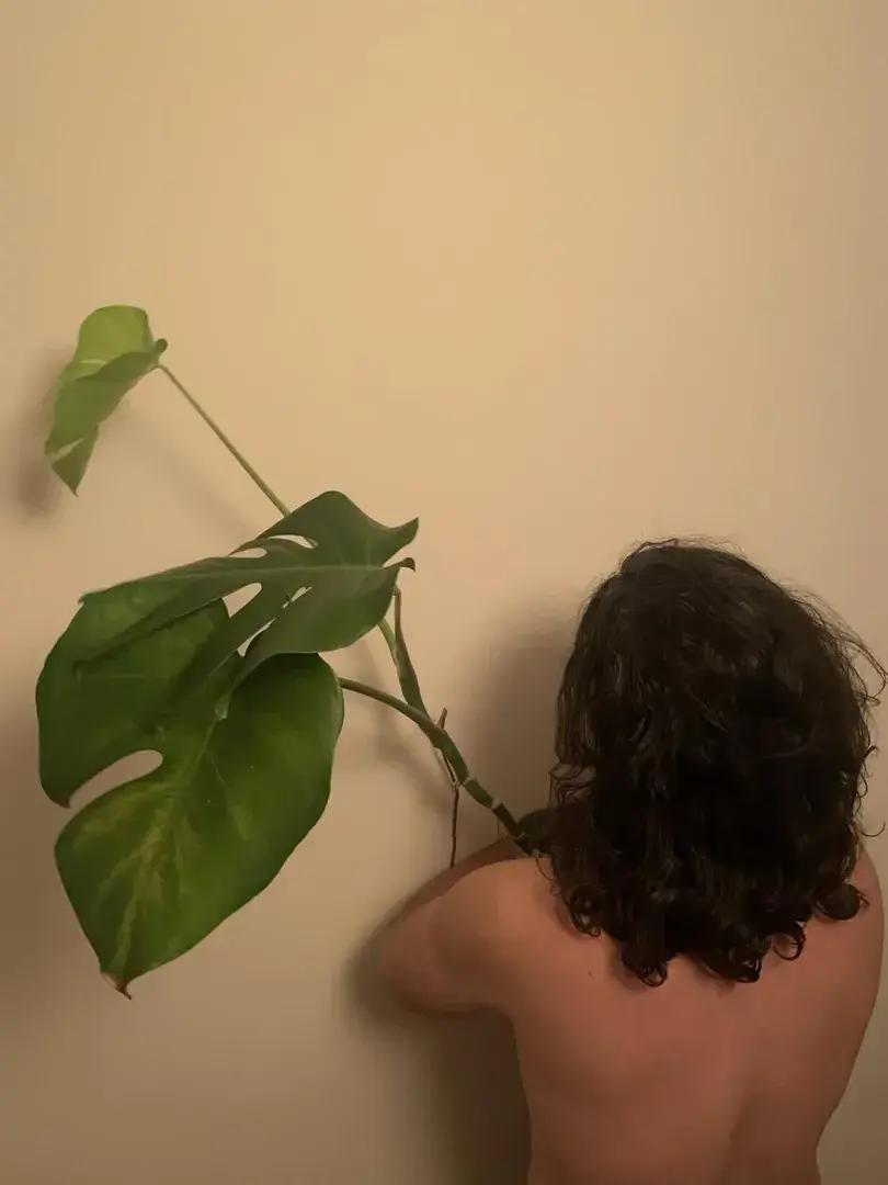 Leak & nude 1 — HobbitBoy