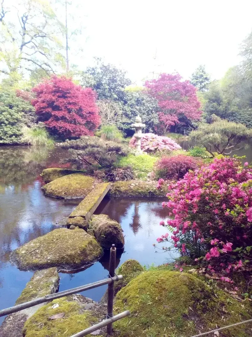 Photo de couverture de Plumebleu