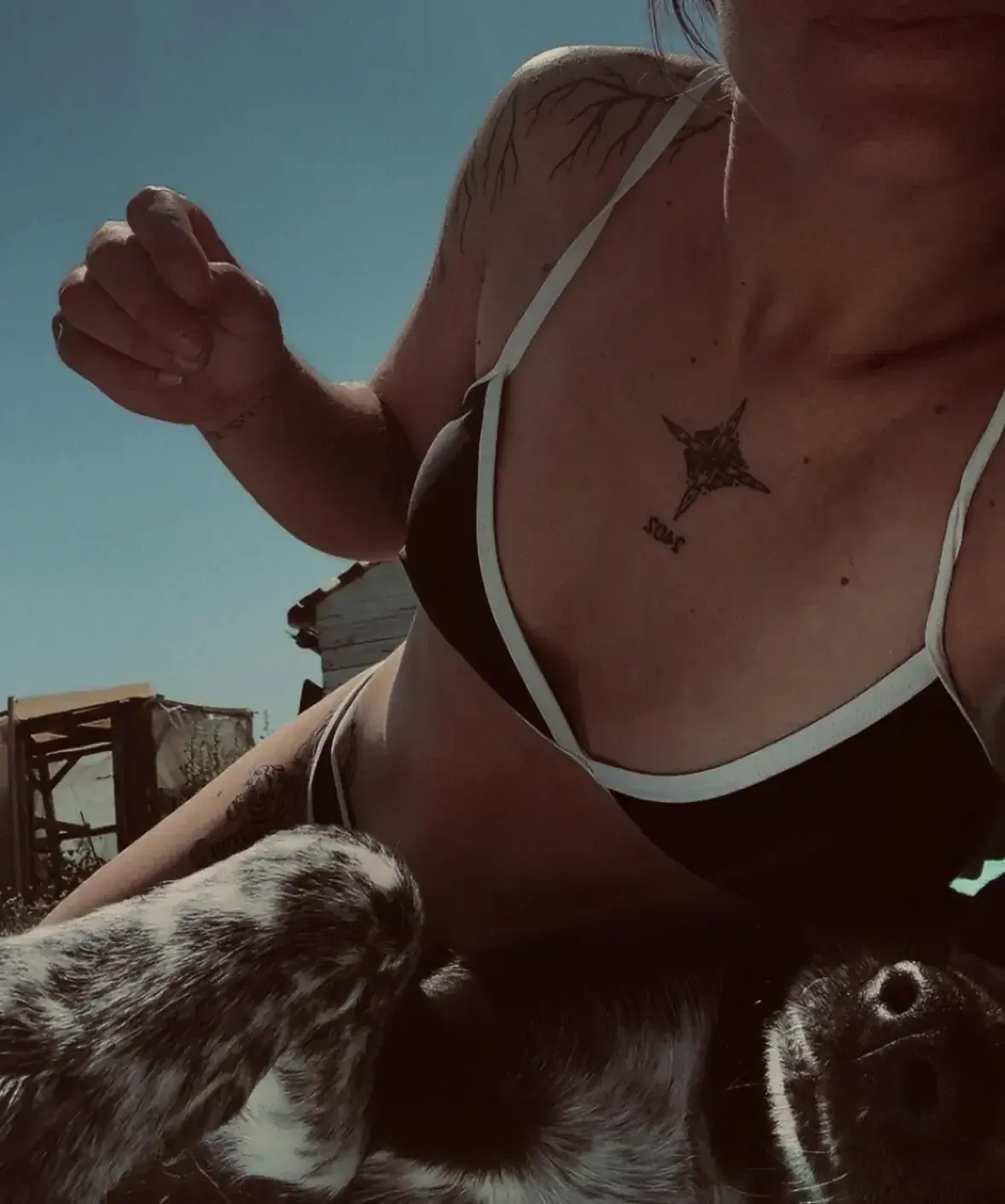 Photo de couverture de Alexxane28