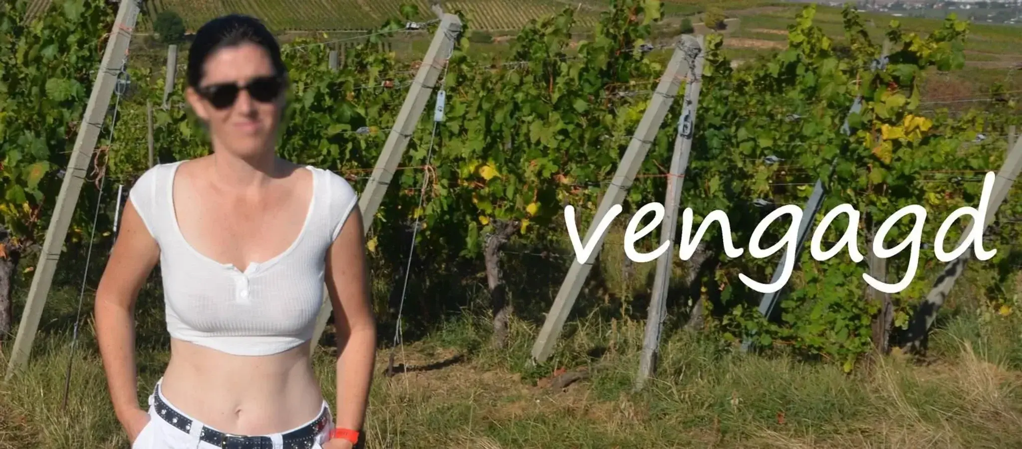 Photo de couverture de Vengagd