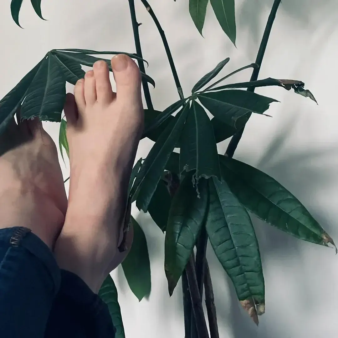 Un peu de verdure