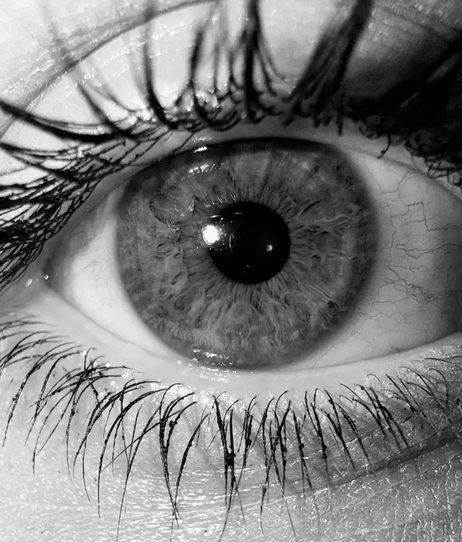 Photo de couverture de Bella309