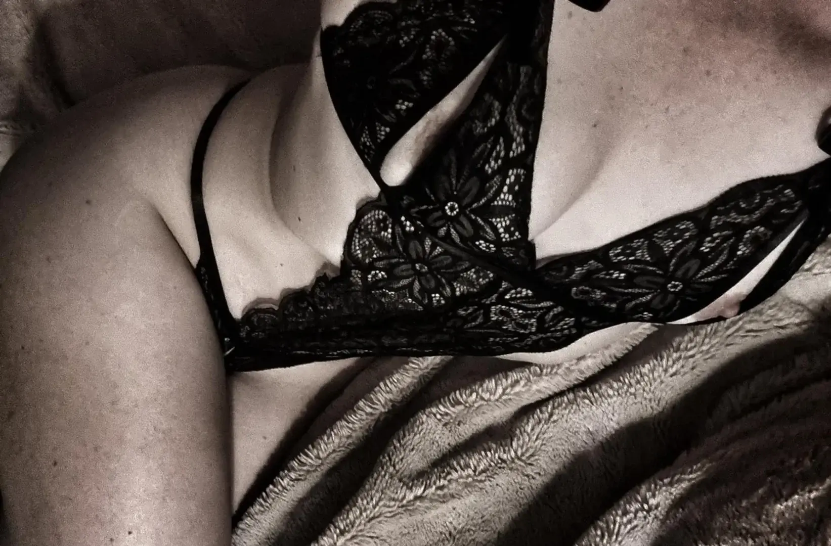 Photo de couverture de lysandramonarque