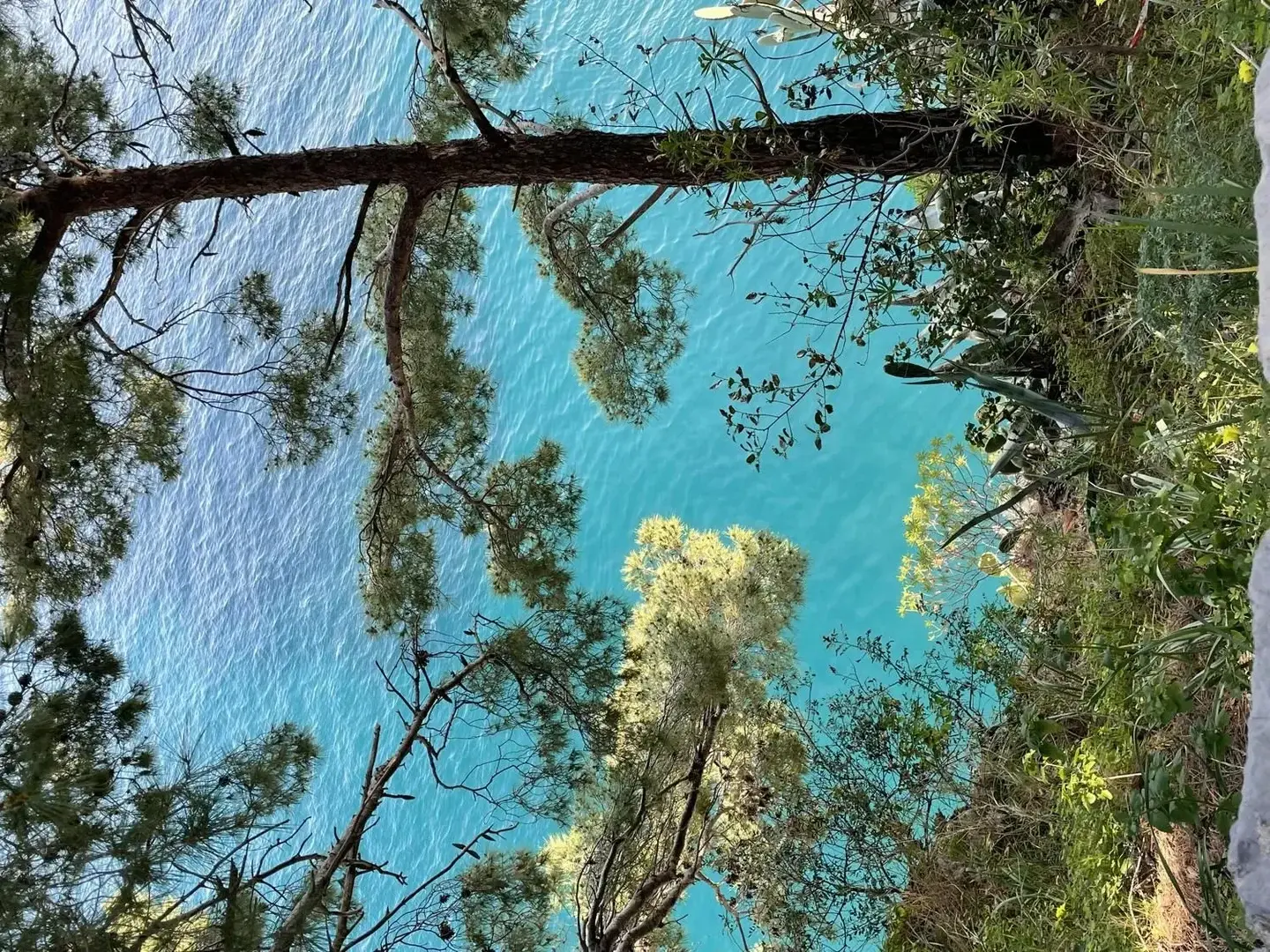 Photo de couverture de piedcalientee