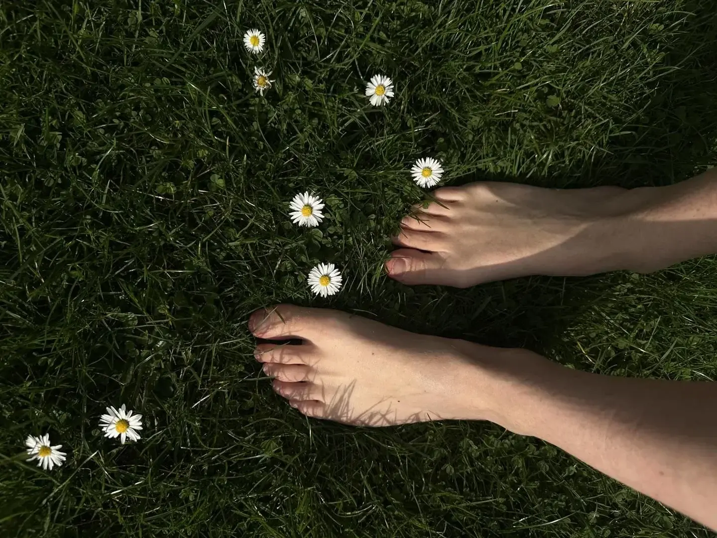 Photo de couverture de Solebylila