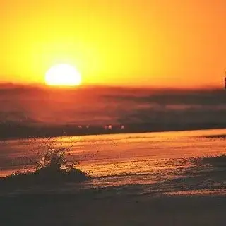 Photo de couverture de Pauline-dupuy