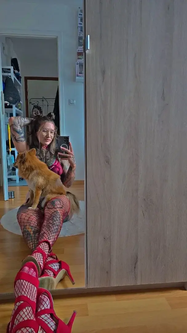 L'intrus en manque d'attention 🦊