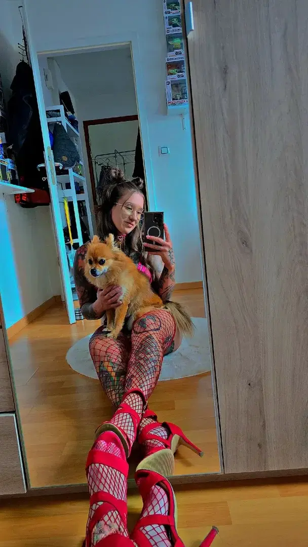 Petit bout de poil veut aussi etre vus 🦊🫰🏻✨️❤️